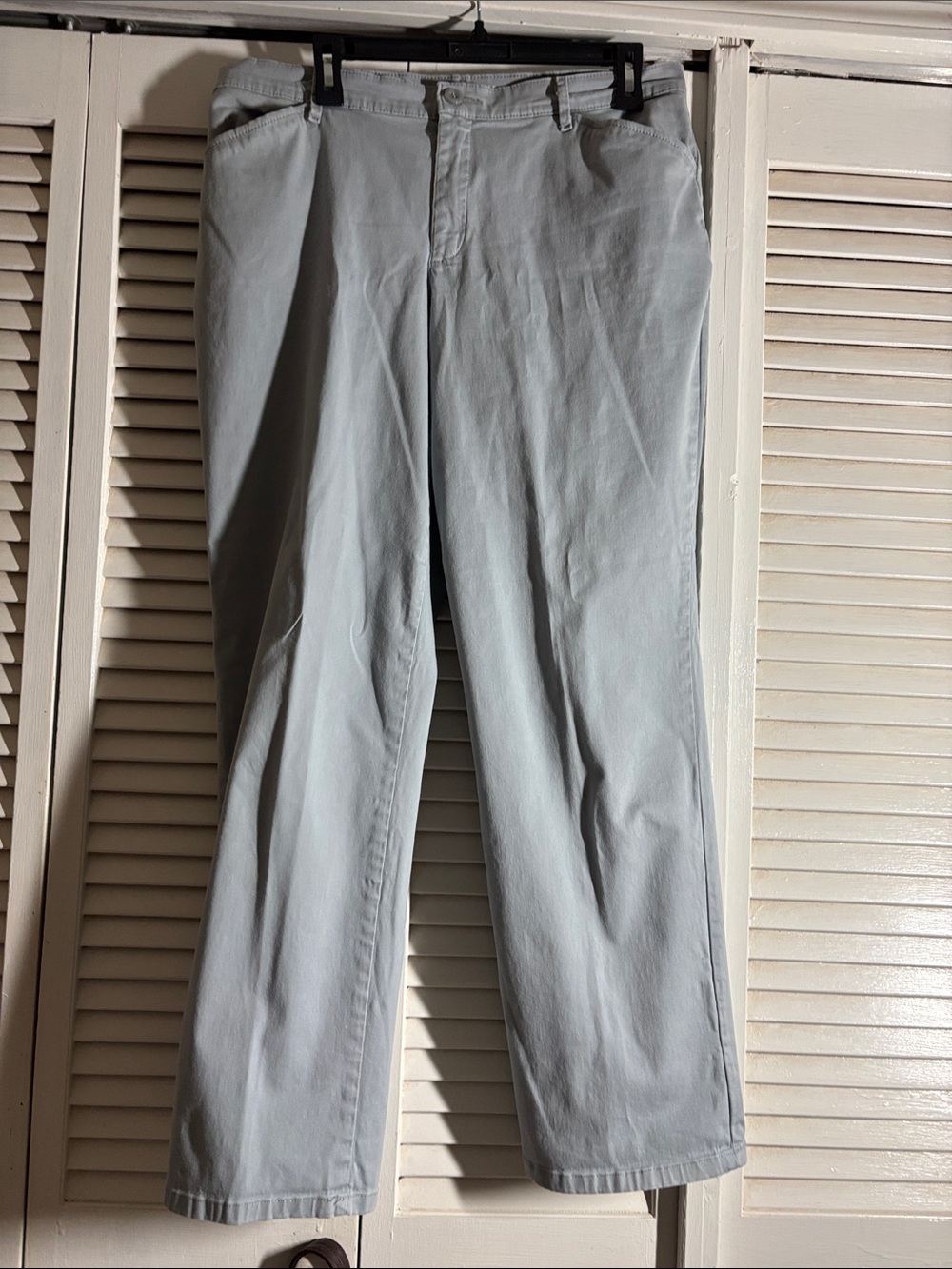 Light Gray Casual Pants